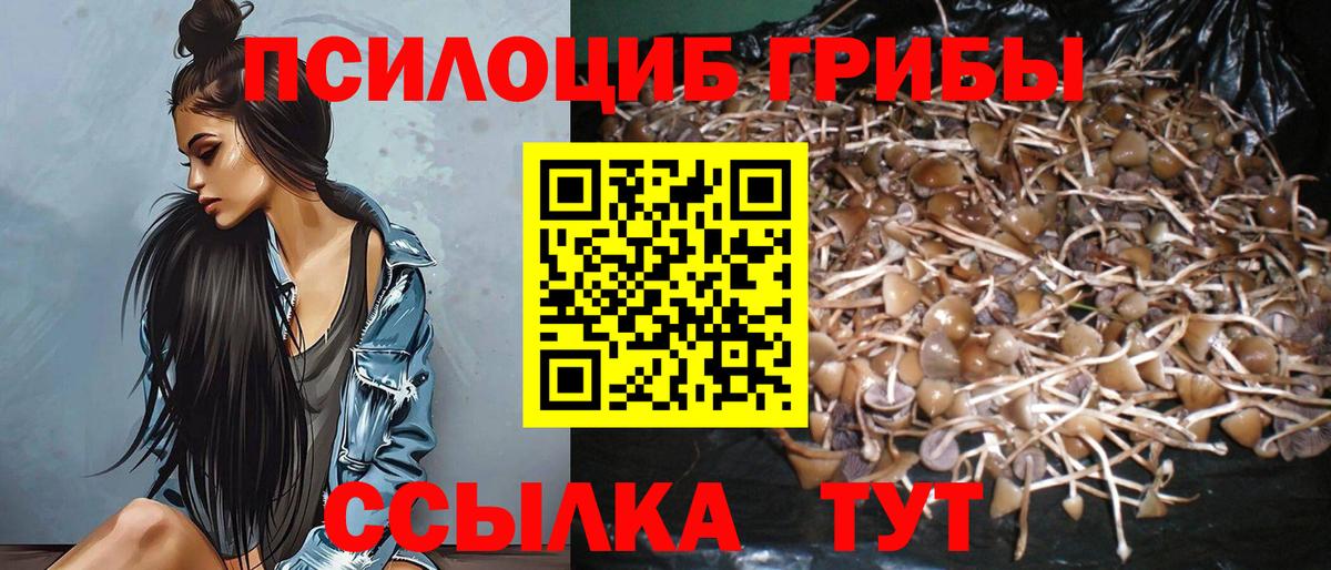 Галлюциногенные грибы Cubensis  Галлюциногенные грибы MAGIC MUSHROOMS  Сунжа  Вход с VPN 