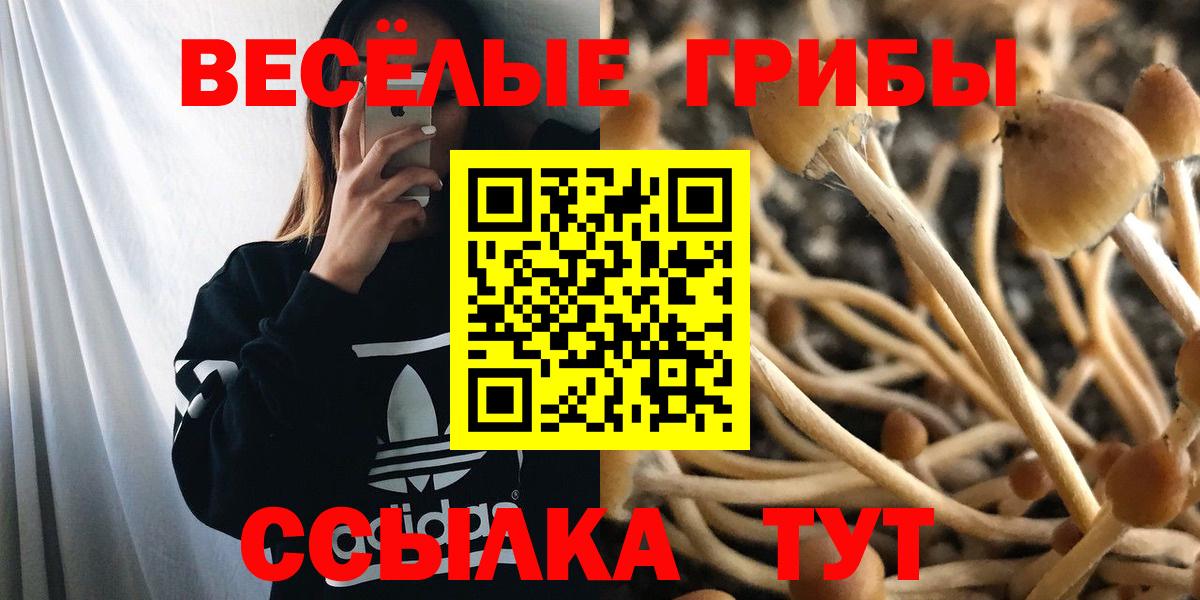 Псилоцибиновые грибы Magic Shrooms Сунжа